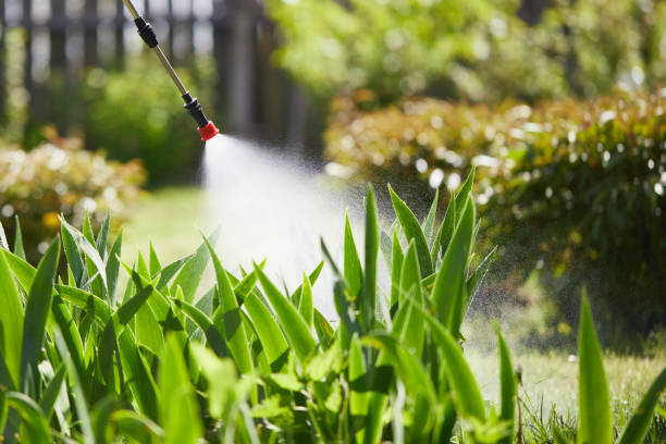 24/7 Emergency Wasp Removal experts in Port Huron, MI