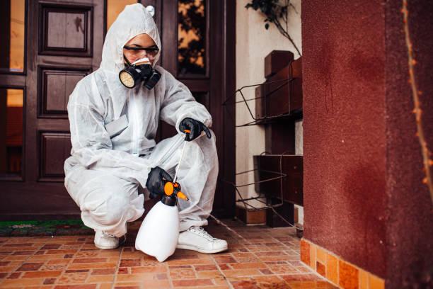 Reliable Wasp Removal contractor in Port Huron, MI by Show Me Pest Control